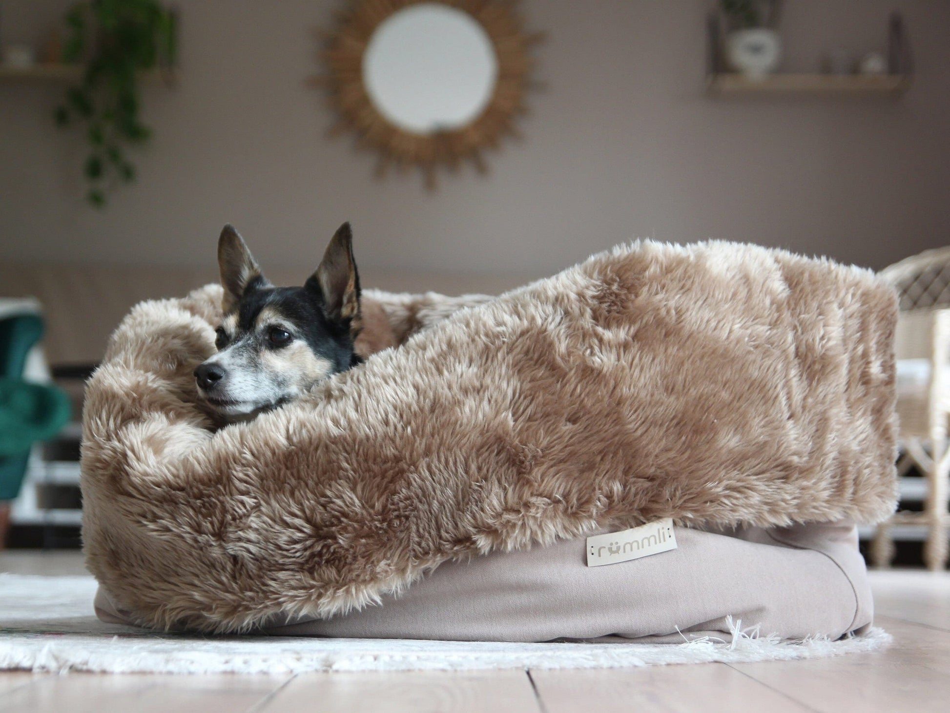 Transformable Furry Dog Bed