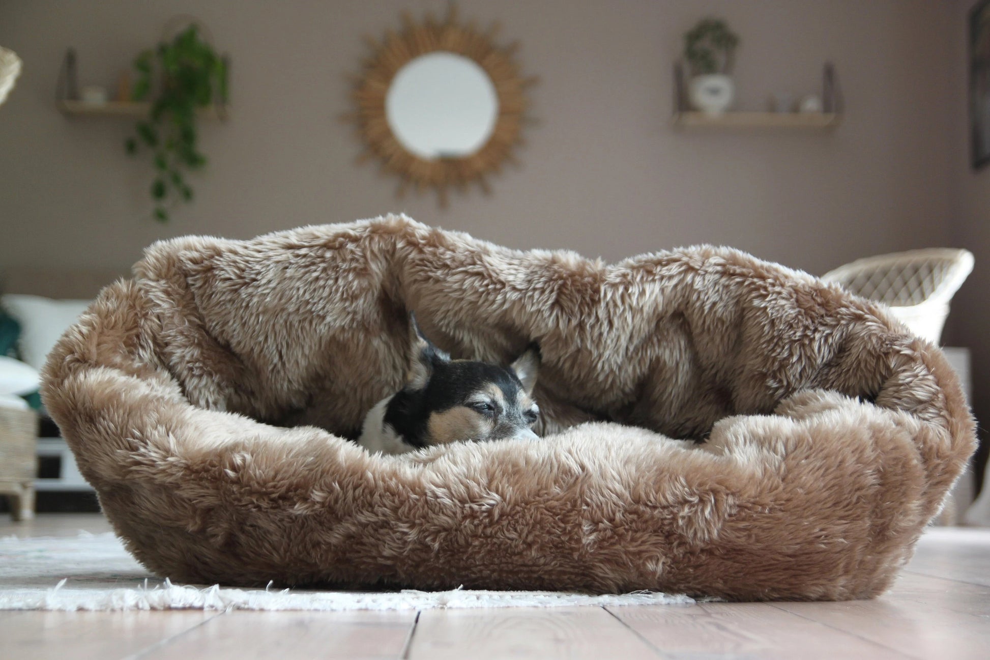 Transformable Furry Dog Bed