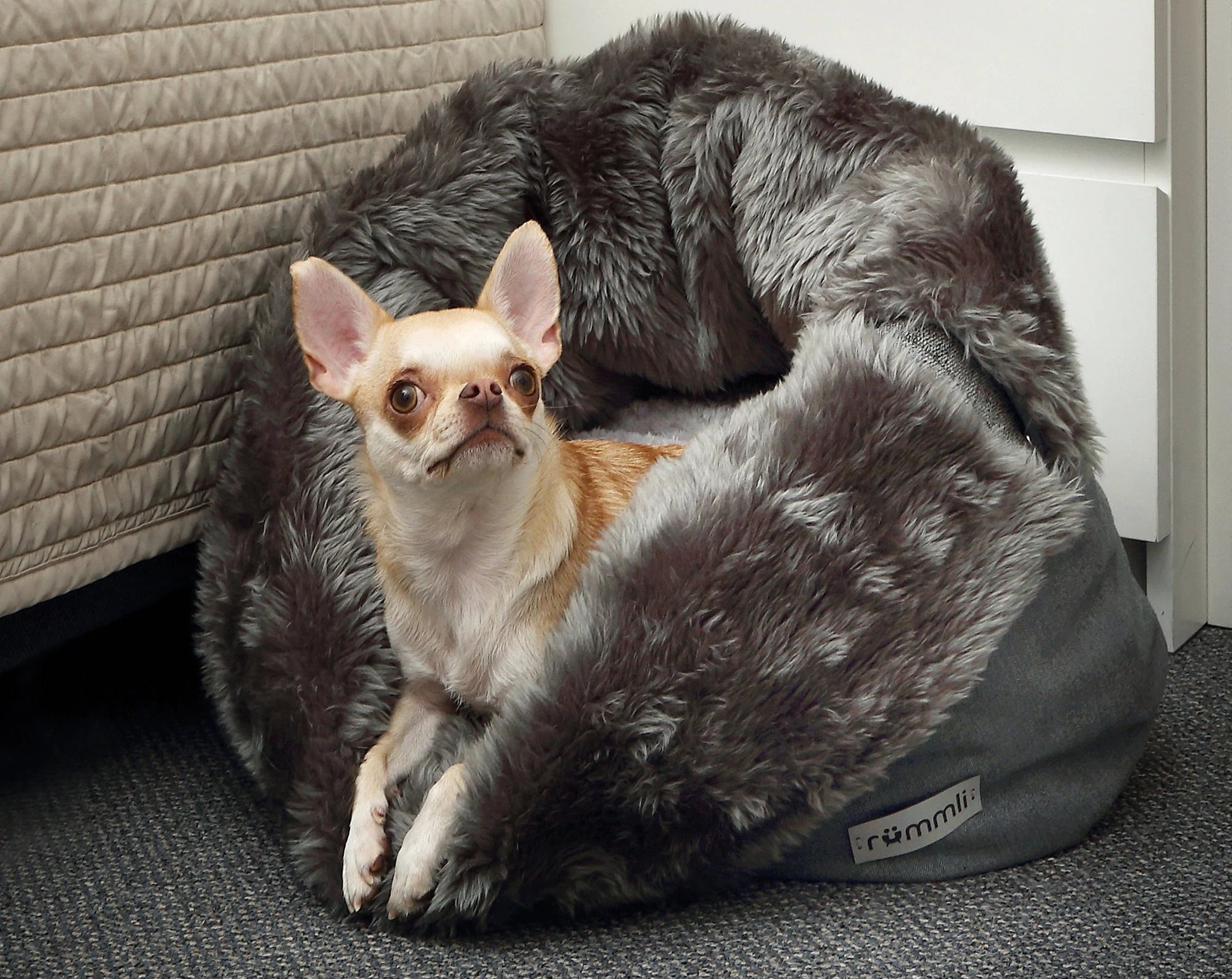 Transformable Furry Dog Bed