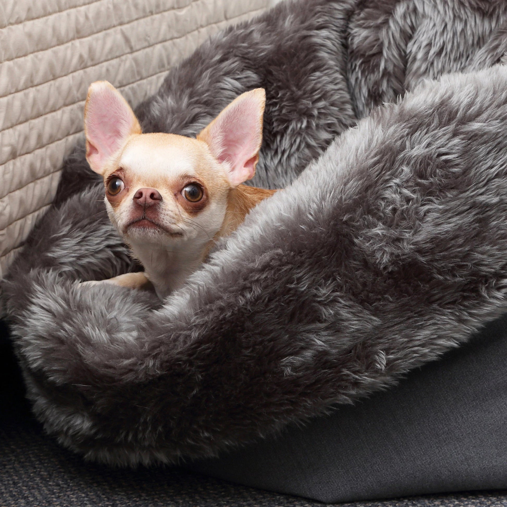 Transformable Furry Dog Bed