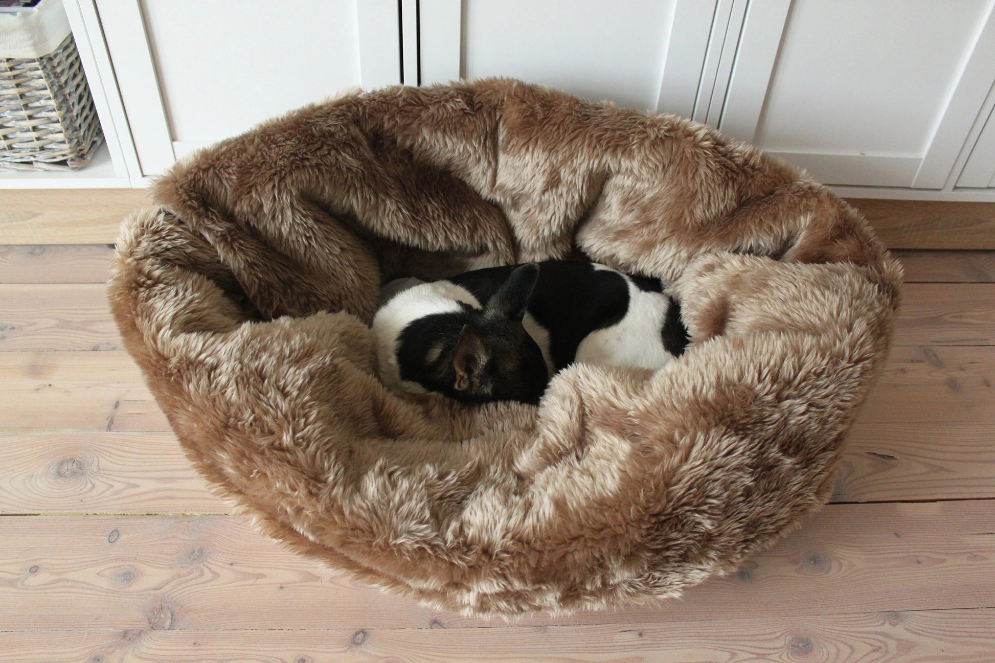 Transformable Furry Dog Bed