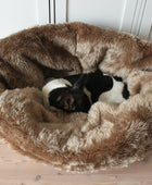 Transformable Furry Dog Bed