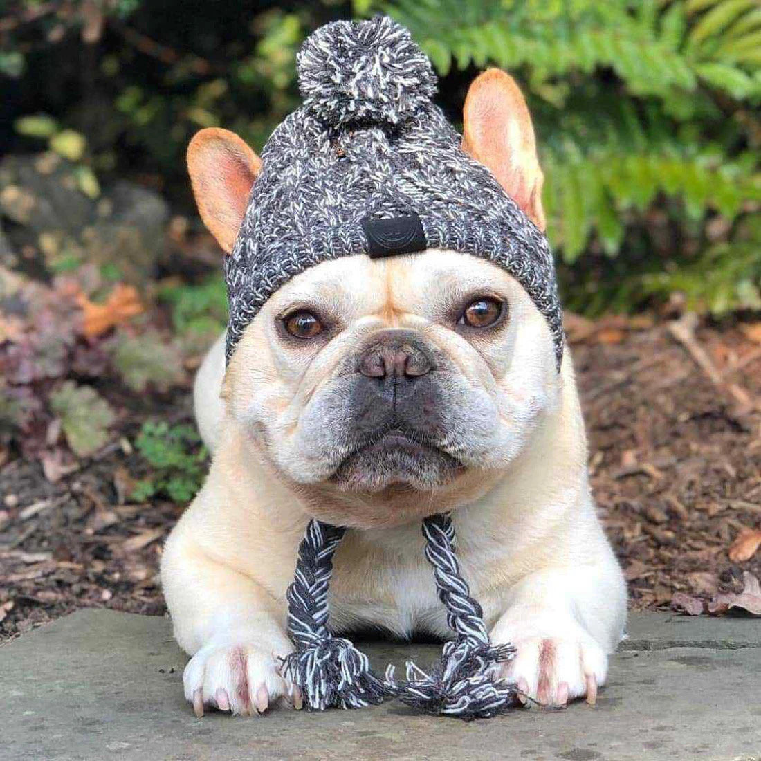 Warm Pet Knitted Soft Winter Hat