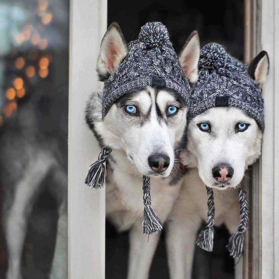 Warm Pet Knitted Soft Winter Hat