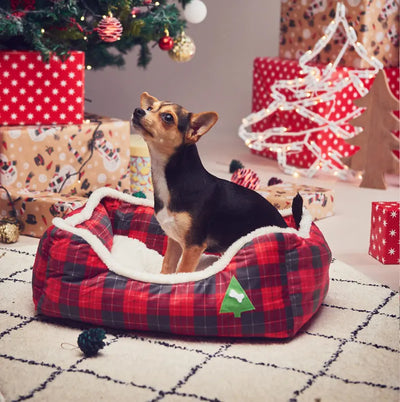 Winter Festive Pet Sofa