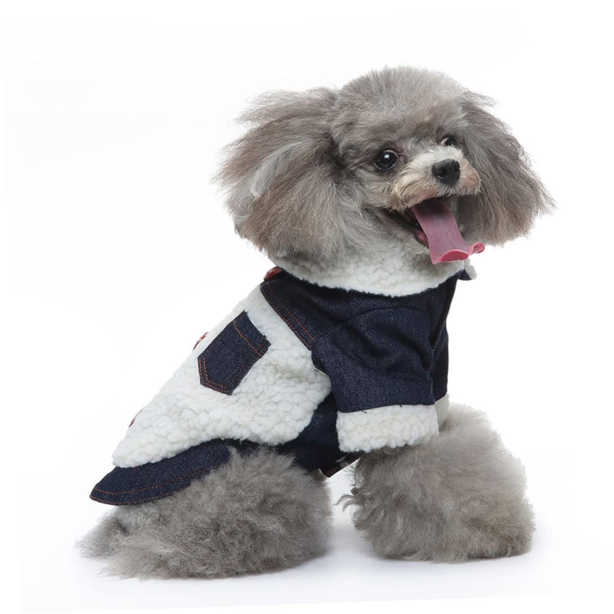 Winter Small Dog Plaid Jacket