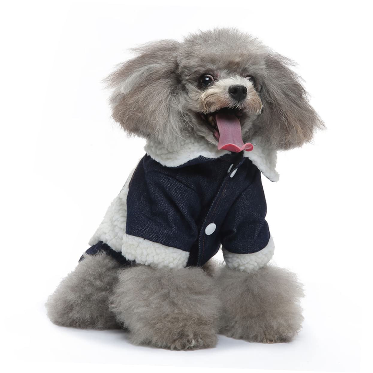 Winter Small Dog Plaid Jacket