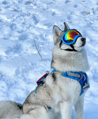 Dog Goggles with Adjustable Strap