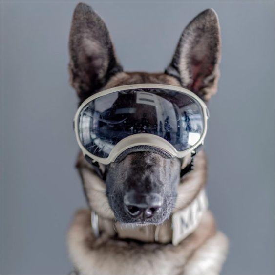 Dog Goggles with Adjustable Strap