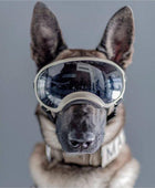 Dog Goggles with Adjustable Strap