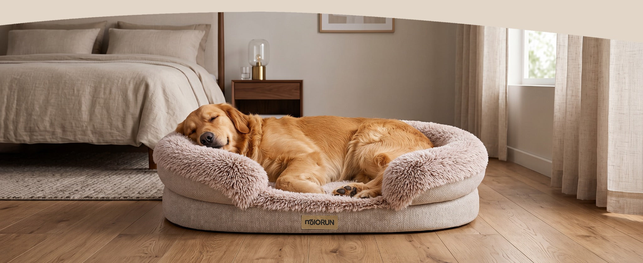 Golden retriever resting in a beige bed