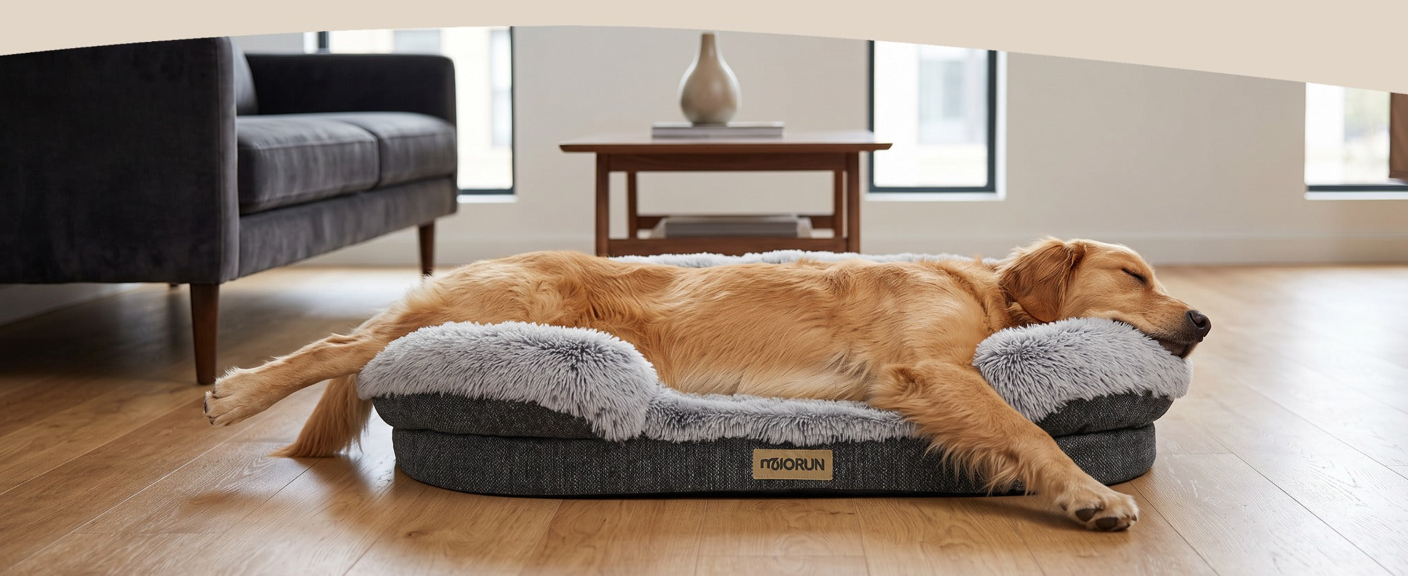 Large dog stretching out in the bed beside a sofa