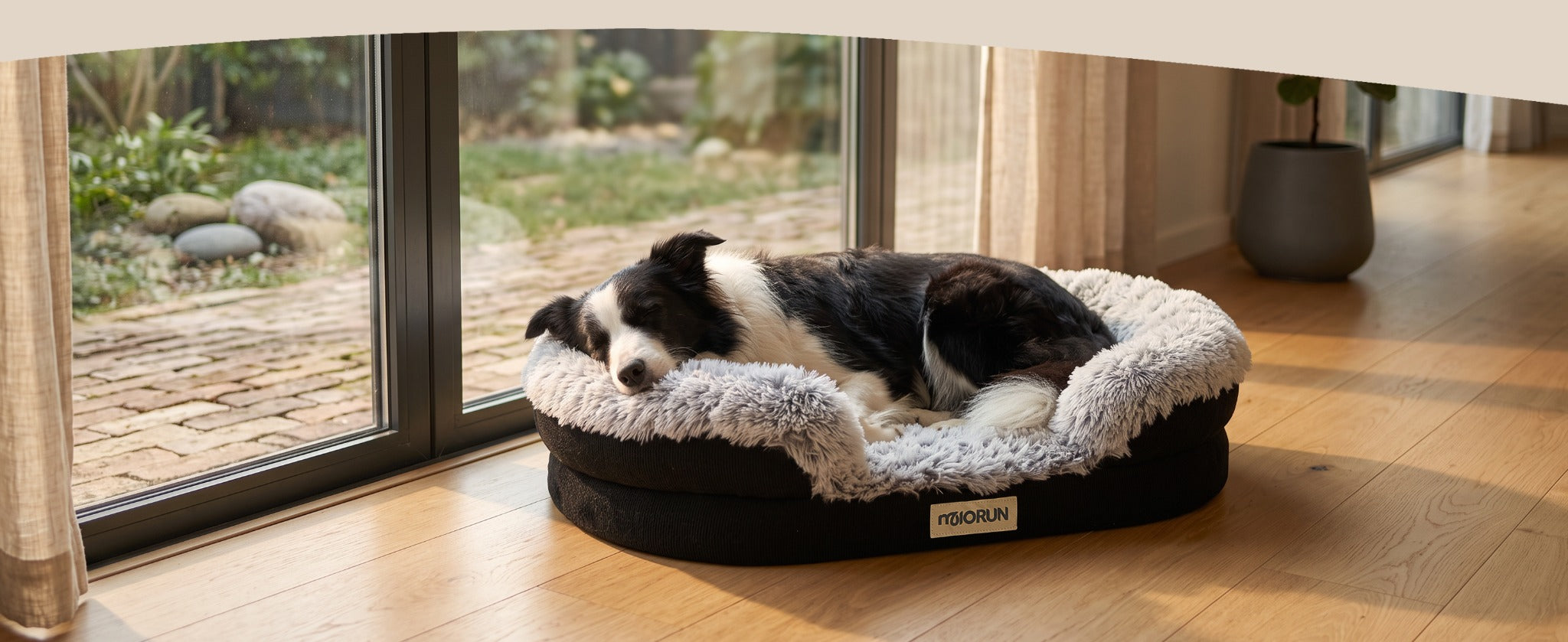 Dog bed beside a bright window