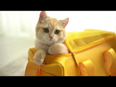 Toast Pet Carrier Bag